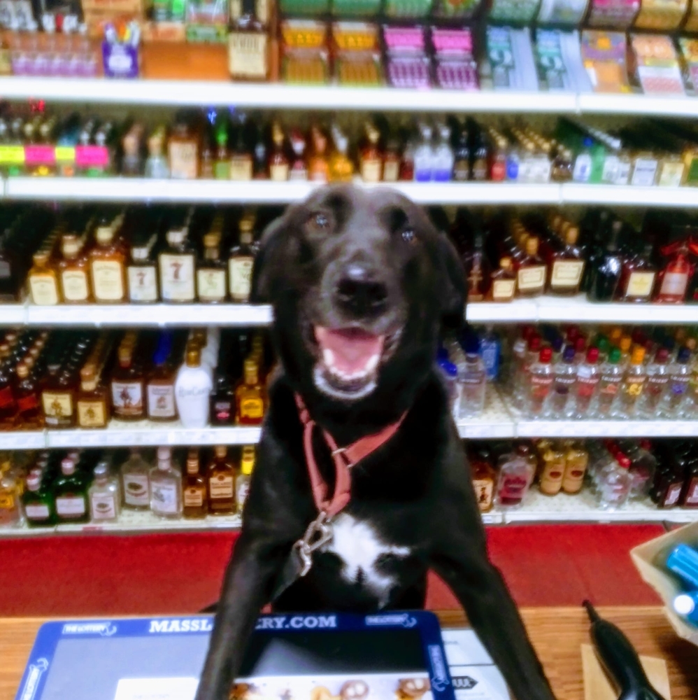 Meet your Posher, Charles